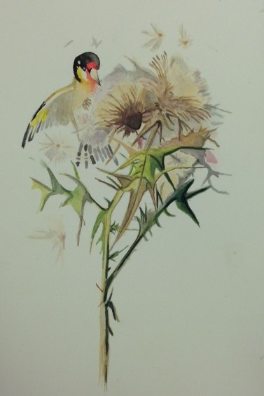 Patrizia Veronesi (acquerello su carta cotone)