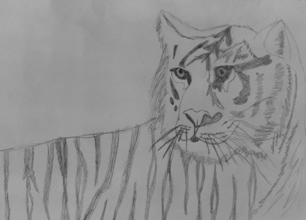 Dorotea (9 anni)