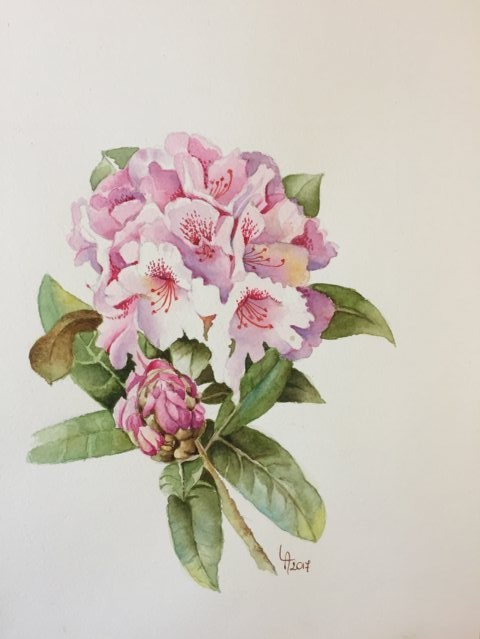 Loredana Alberti (acquerello su carta cotone Fabriano)