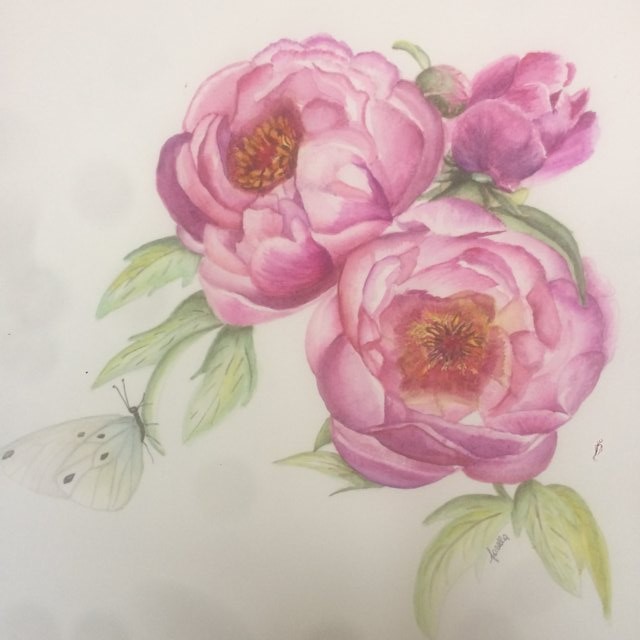 Lorella Vesentini ("Peonie" acquarello)