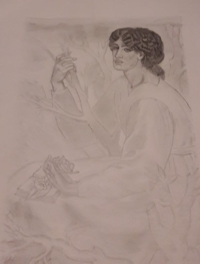 Elena Parolari (graffite)