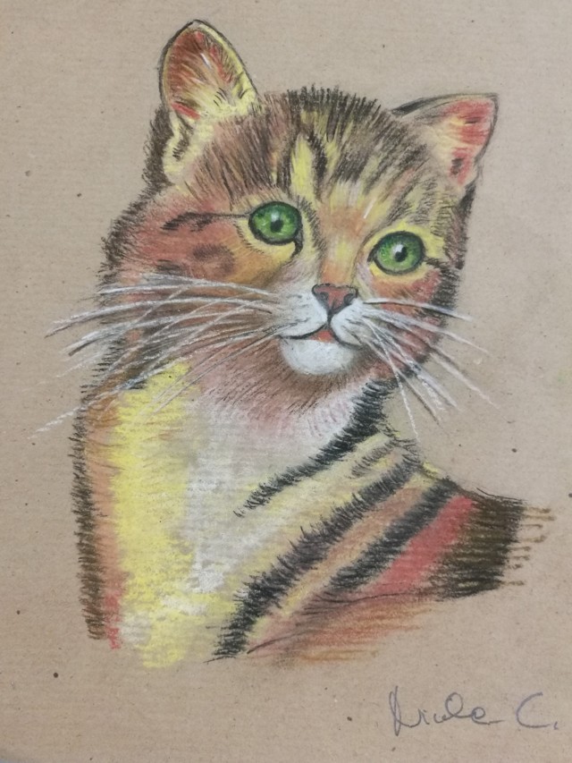 Nicola Castellani (pastelli sucarta Fabriano per pastelli)
