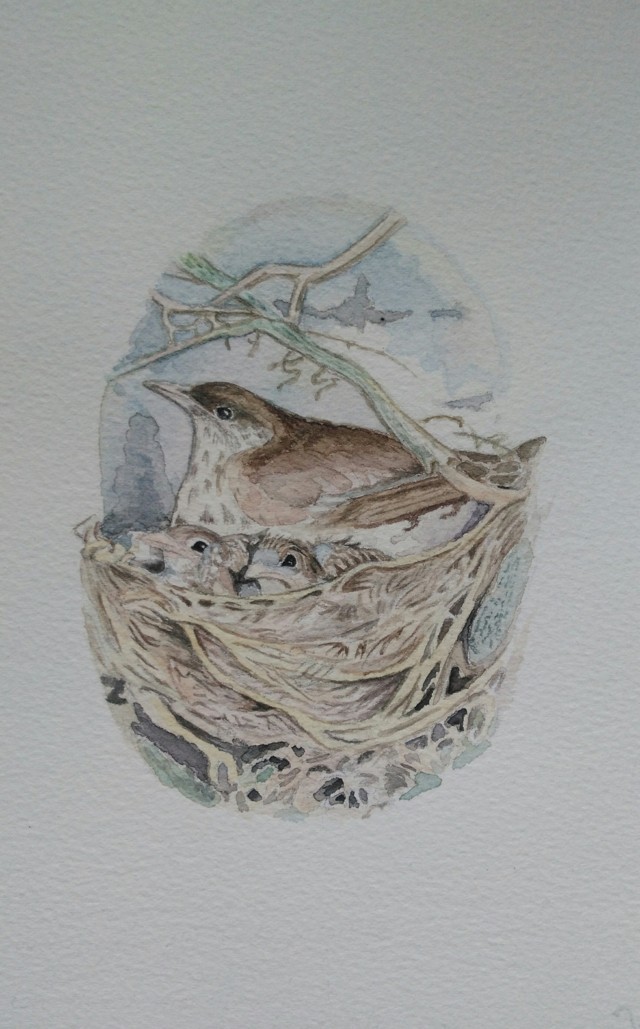 Barbara Werner (acquarello su carta Fabriano cotone)