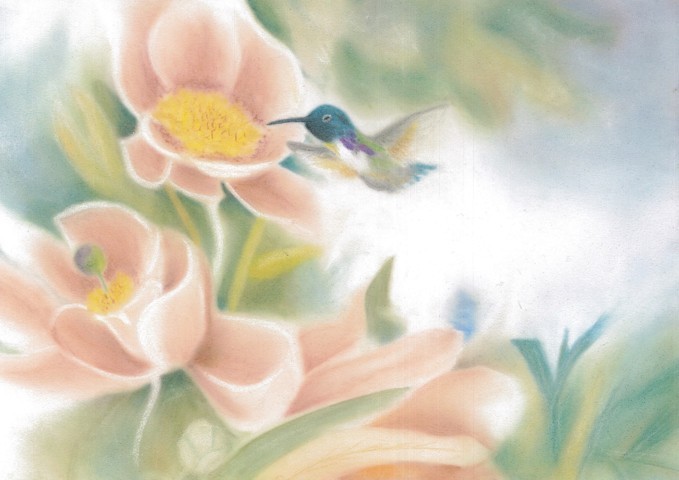 Chiara Lonardoni (pastello su carta di velluto)
