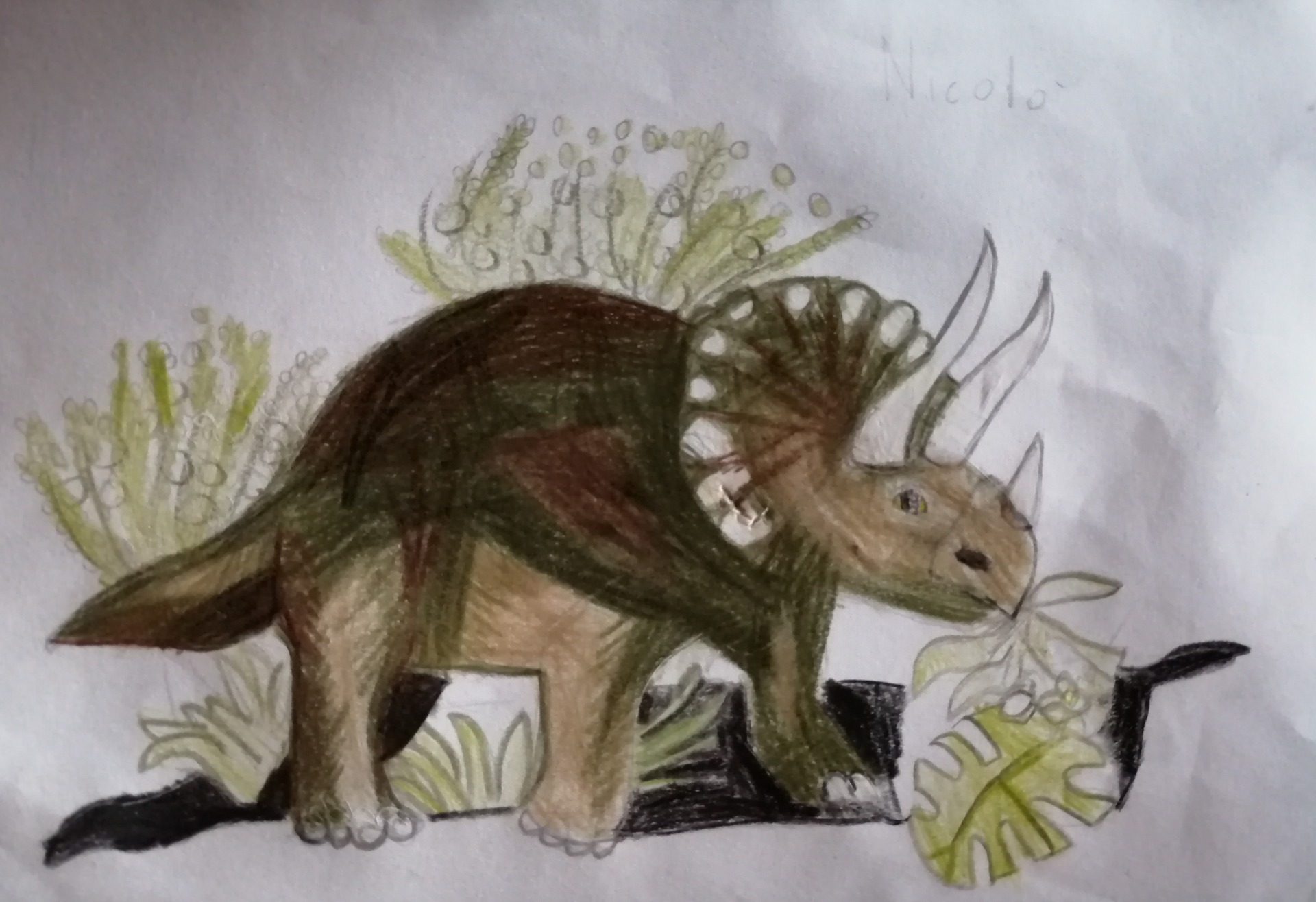 Nicolò (8 anni)