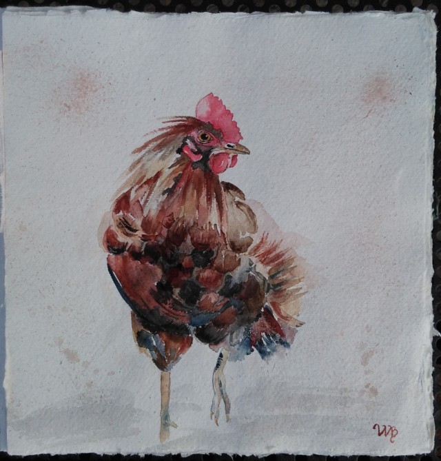 Barbara Werner (acquarello su carta Fabriano cotone)