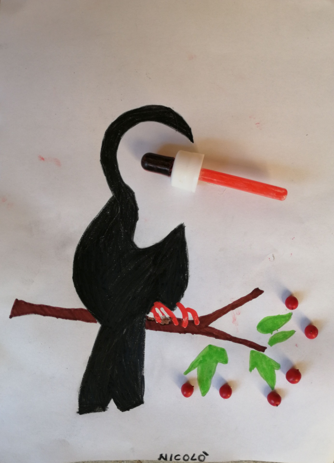 Nicolò (9 anni)