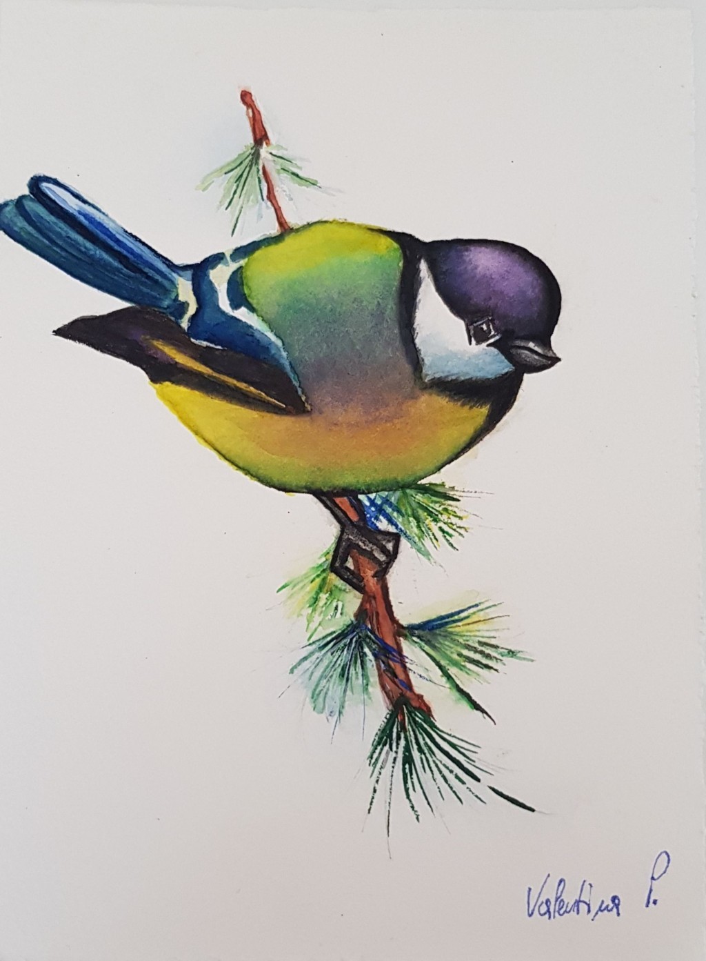 Valentina Pasqualon (acquarello su carta Fabriano cotone)