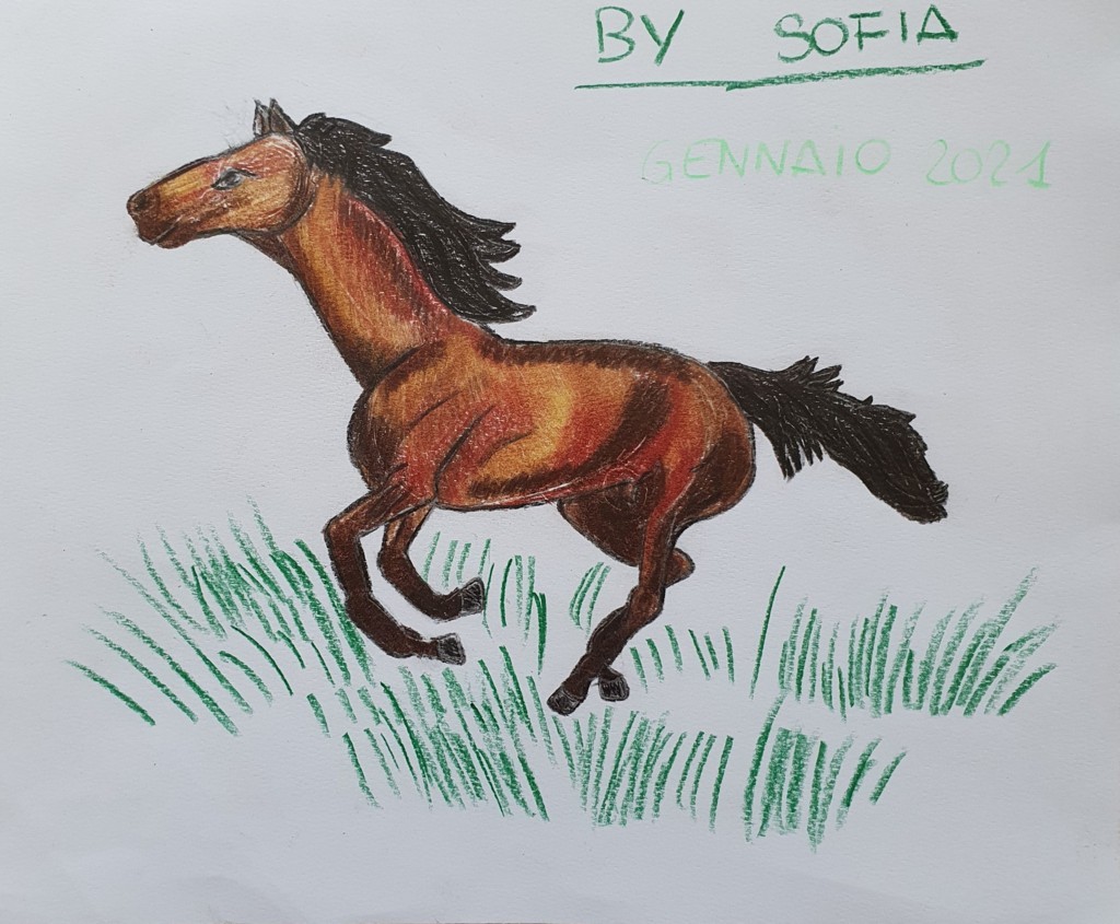 Sofia (9 anni)