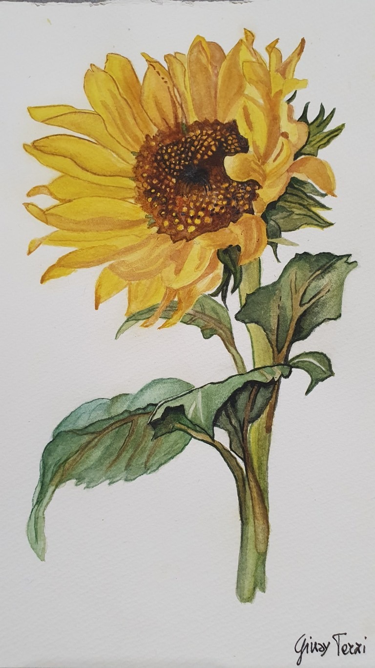 Giusy Terzi (acquarello su carta Fabriano cotone)