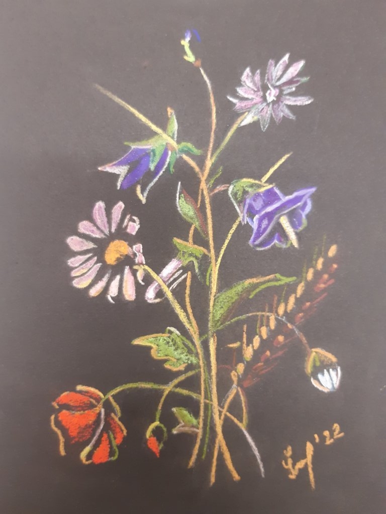 Júlia Šimčeková (gessetti quadri su carta nera ruvida Fabriano))
