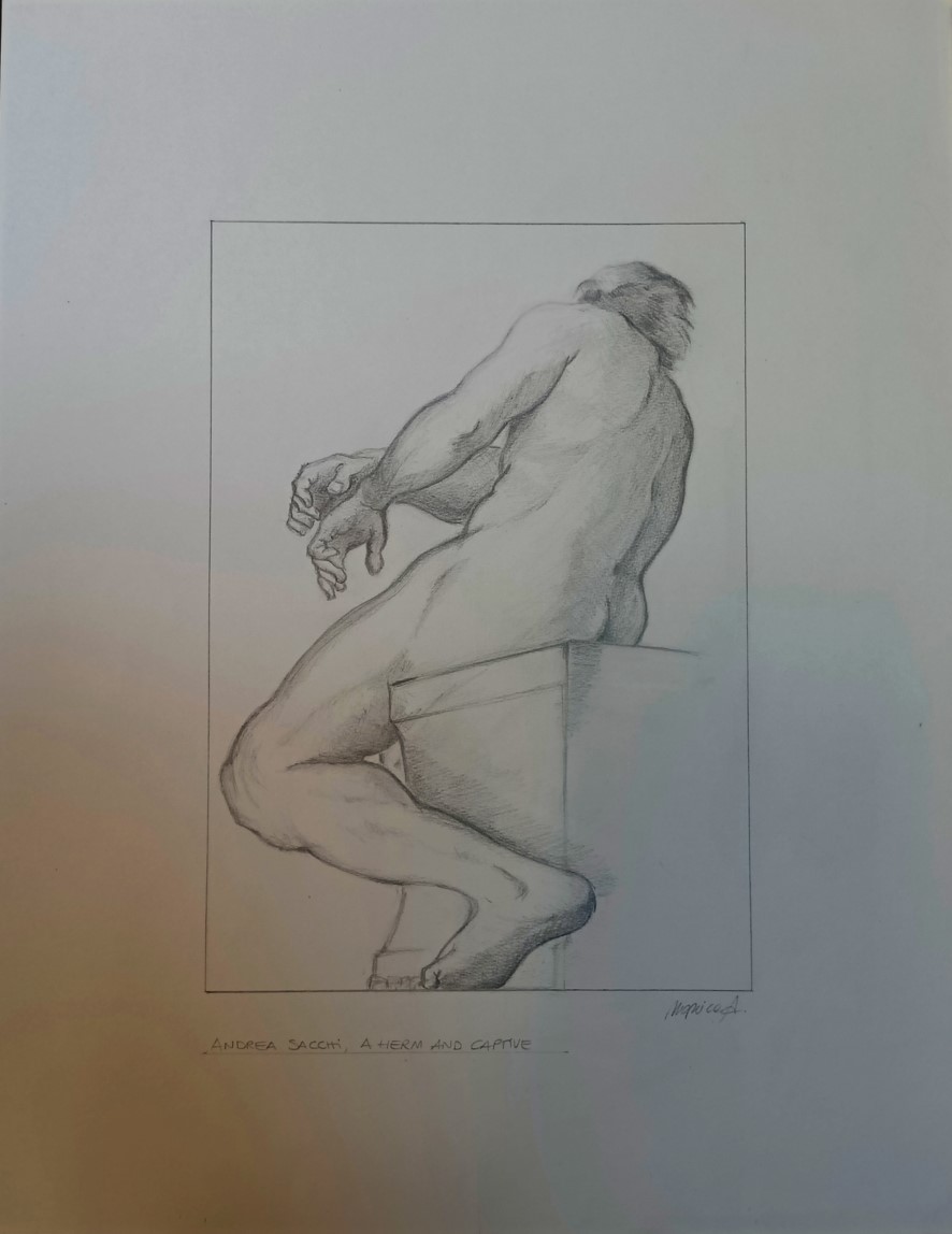 Monica Albertini (grafite su carta Fabriano)