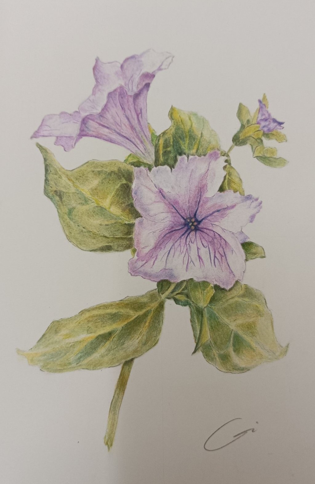 Cristina Cristanelli (tecnica mista su carta per pastelli)