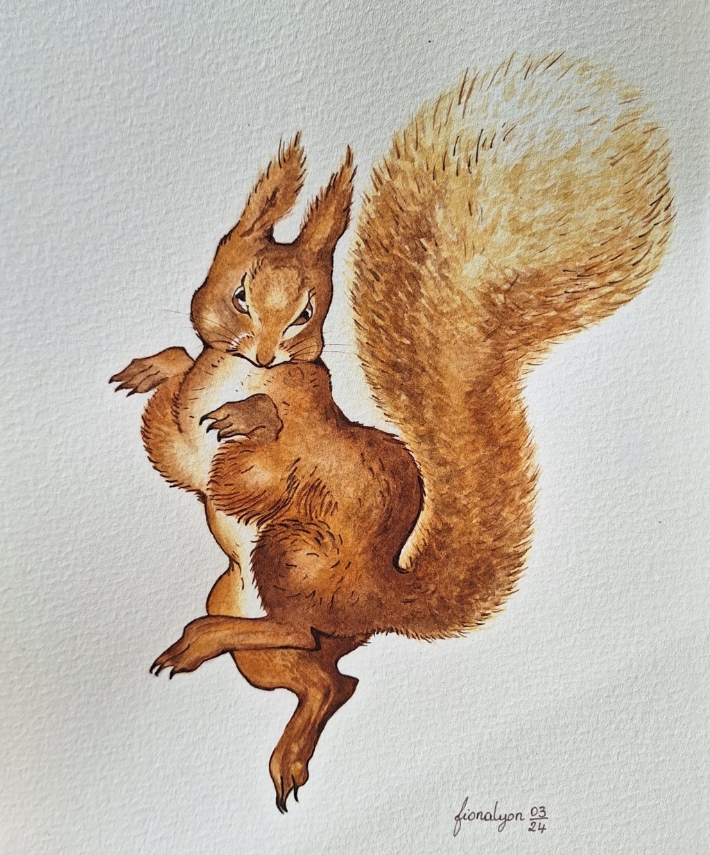 Fiona Belloni (acquarello su carta Fabriano cotone)