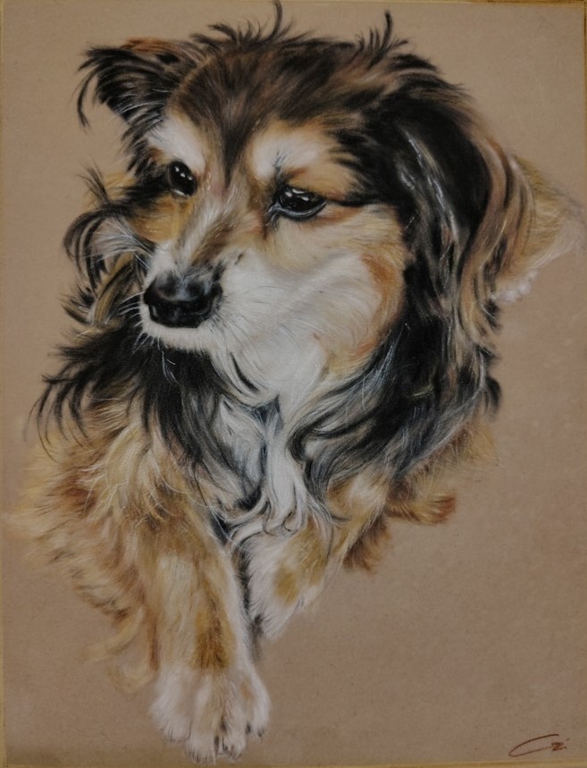 Cristina Cristanelli "Yuma" (pastelli su carta di velluto)