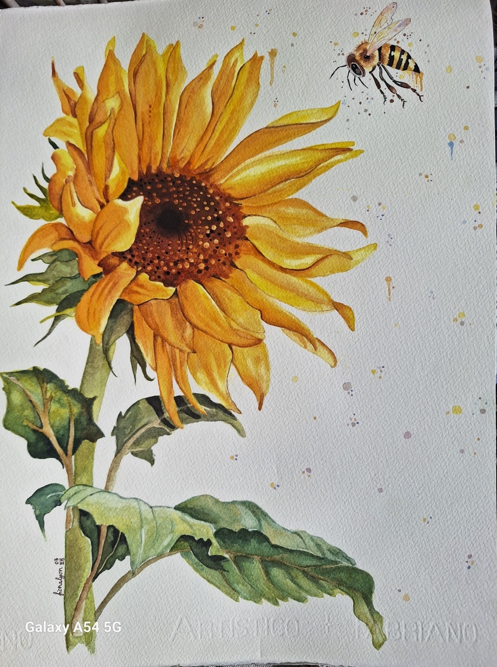 Fiona Belloni (acquarello su carta Fabriano cotone)