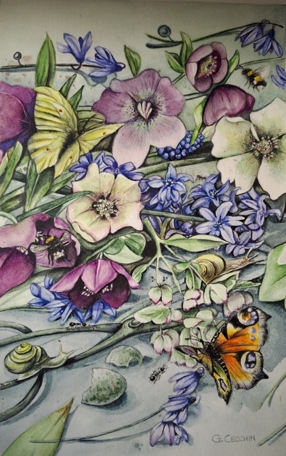 Gabriella Cecchin (acquarello su carta Fabriano cotone)