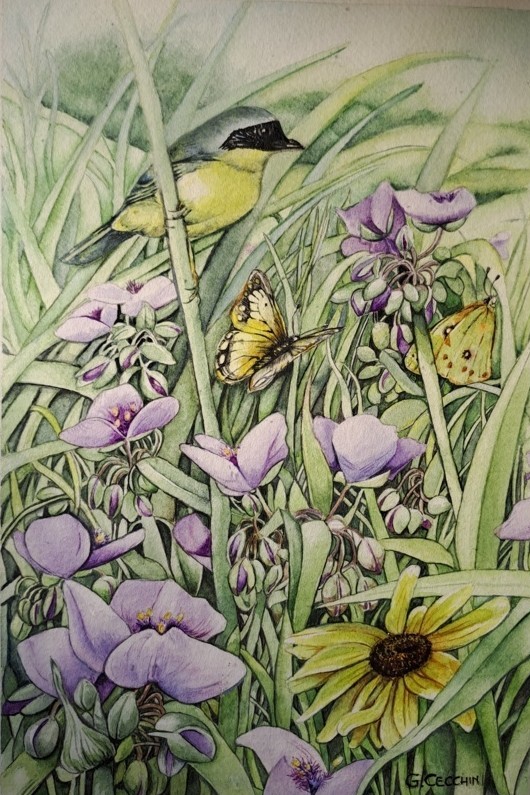 Gabriella Cecchin (acquarello su carta Fabriano cotone)