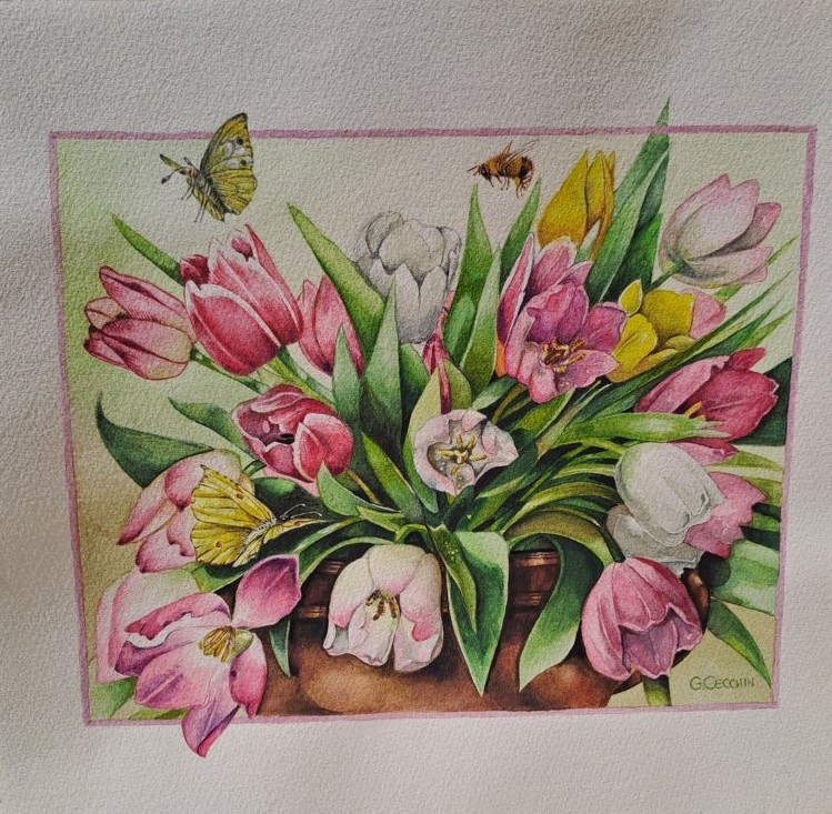 Gabriella Cecchin (acquarello su carta Fabriano cotone)
