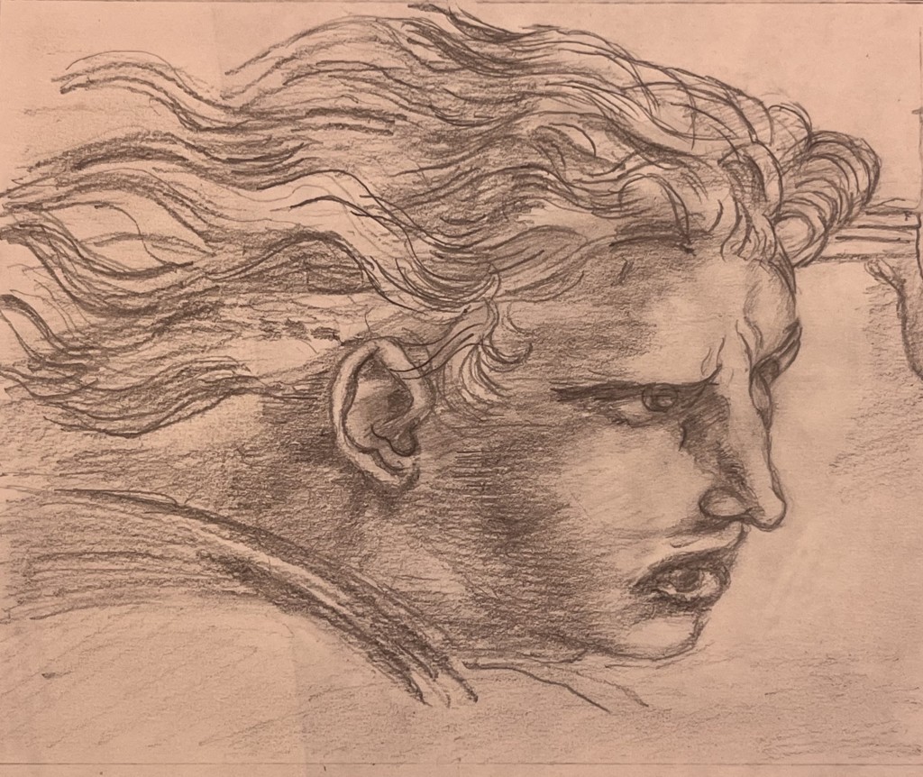 Stefano Baccaglini (grafite su carta Flora camoscio 240gr)