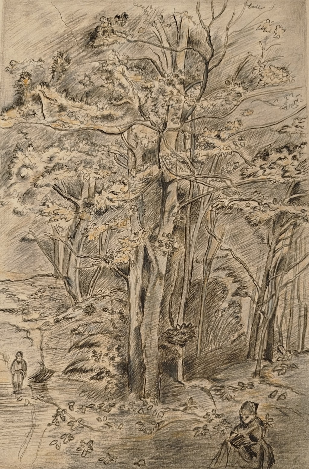 Liliana Balasso (tecnica mista su carta Flora, camoscio)