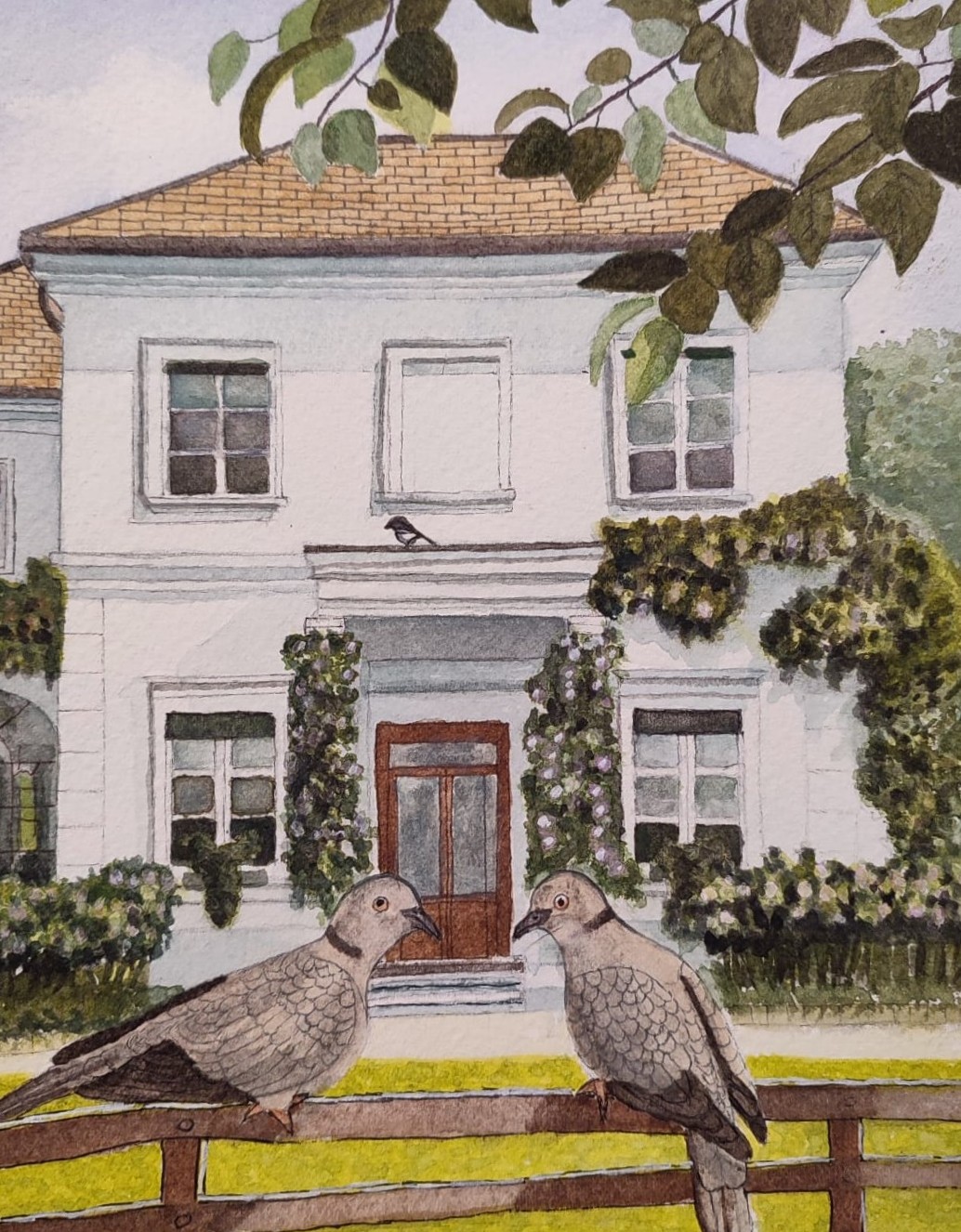 Rosa Maria Frigo (acquarello su carta Fabriano cotone)