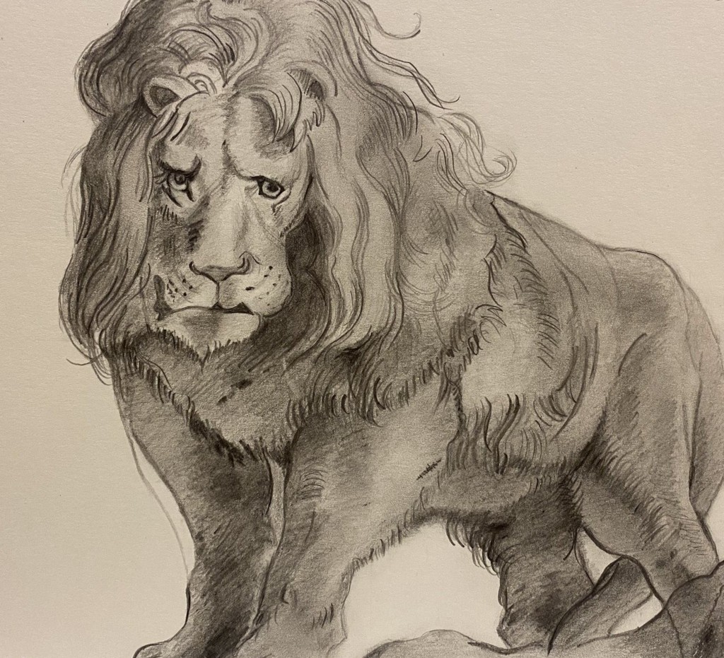 Lisa Albieri (grafite su carte Flora 240gr)