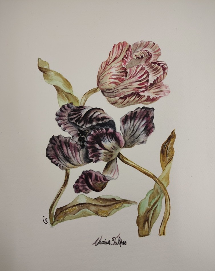 Cristina Cristianelli (acquarello su carta Fabriano cotone)